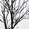 4ft. Orange & Purple LED Pre-Lit Halloween Deluxe Black Twig Artificial Fall Tree